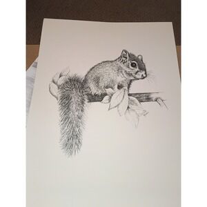 Charlotte Young Art Print Squirrel And Pig 13.5x10.5 Sketched Certificate Of...